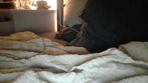 luckyduck28 @ chaturbate on 20250531
