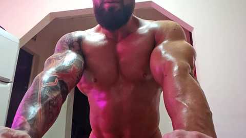 adonis_msc @ chaturbate on 20250601