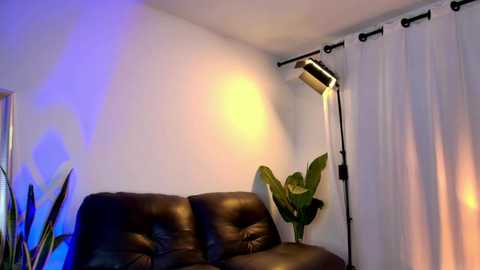 diagostone @ chaturbate on 20250602