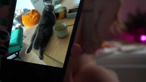 emma_land @ chaturbate on 20250602