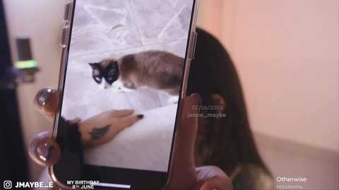 janne_maybe @ chaturbate on 20250602