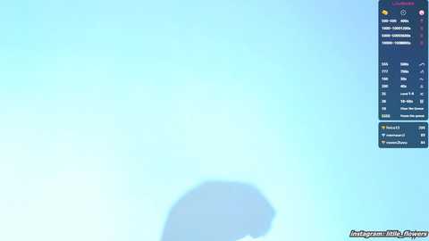 litlle_flowers @ chaturbate on 20250602