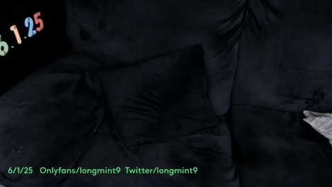 longmint96 @ chaturbate on 20250602