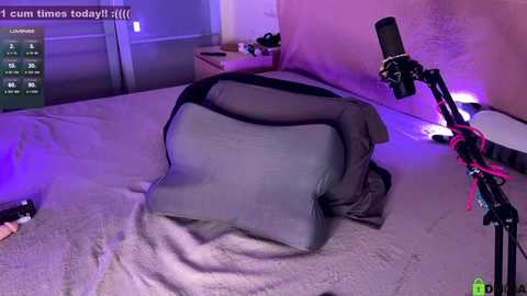 mirai_meow @ chaturbate on 20250603