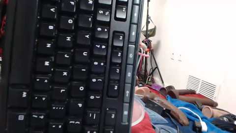 animergamergirl @ chaturbate on 20250604