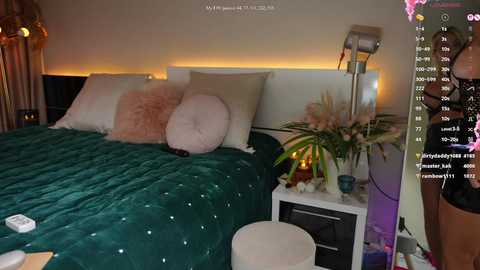 chloe_ri @ chaturbate on 20250604