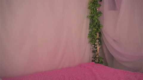 cutie_cookiee @ chaturbate on 20250604