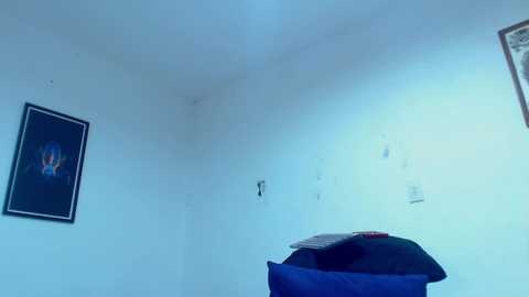 silvabranko @ chaturbate on 20250604