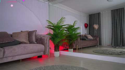 abbela_white @ chaturbate on 20250605