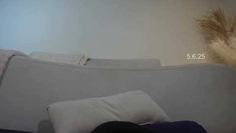 shena_nomy @ chaturbate on 20250605