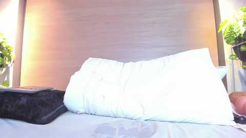 abbymonroee @ chaturbate on 20250606