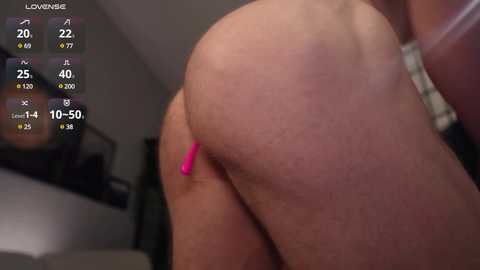 muscularfriend @ chaturbate on 20250606