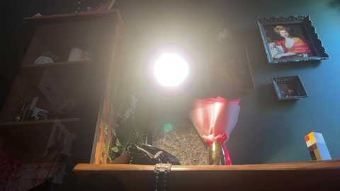 bmwm5f90 @ chaturbate on 20250607