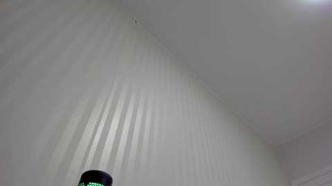 aminaswan_ @ chaturbate on 20250608