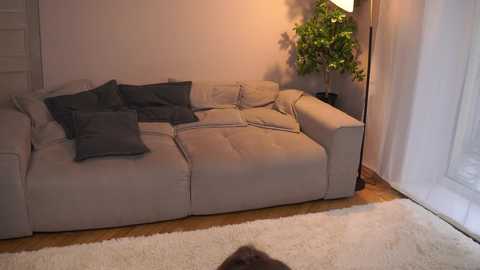 amityfaux @ chaturbate on 20250608