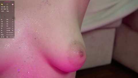 nicole_birds @ chaturbate on 20250608