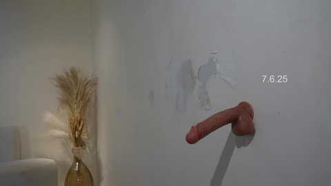 shena_nomy @ chaturbate on 20250608