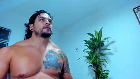 silvabranko @ chaturbate on 20250608
