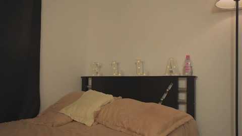 stripper_ella @ chaturbate on 20250608