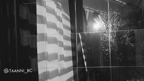 taanni_bc @ chaturbate on 20250608