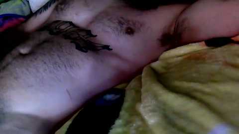 ddady22 @ chaturbate on 20250609