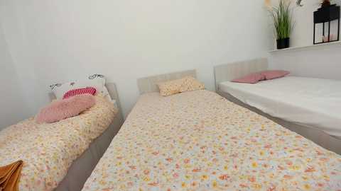 ehotlovea @ chaturbate on 20250609