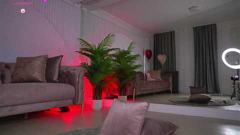 abbela_white @ chaturbate on 20250610