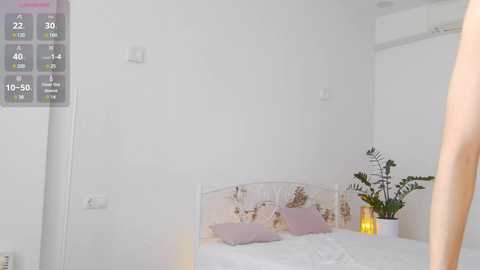 dollyvega @ chaturbate on 20250610