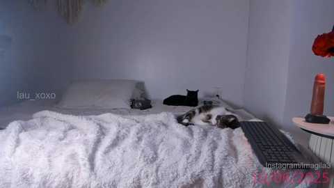 lau_xoxo @ chaturbate on 20250610