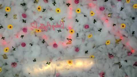 babyaylin @ chaturbate on 20250611