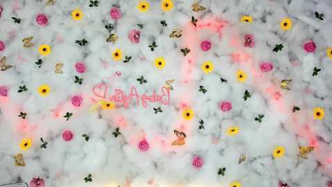 babyaylin @ chaturbate on 20250611