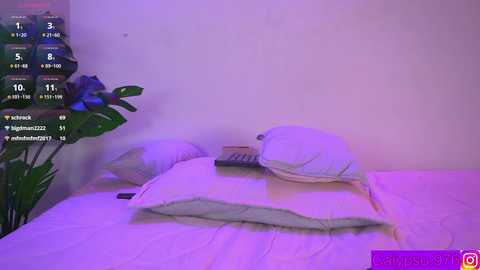 calypso_and_ge1 @ chaturbate on 20250611