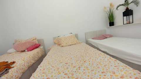 ehotlovea @ chaturbate on 20250611