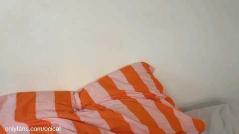 ocicat @ chaturbate on 20250611