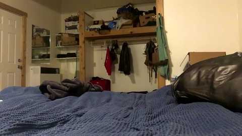 poutyvixen @ chaturbate on 20250611