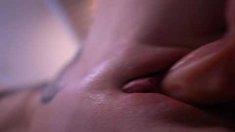 cute__foxy @ chaturbate on 20250612