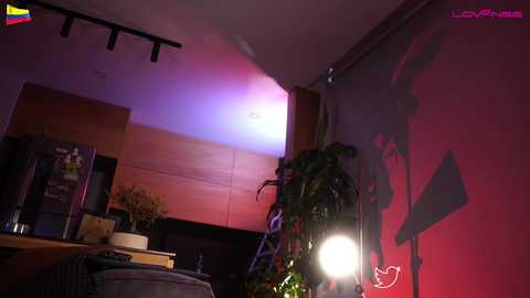 dominic_sullivan1 @ chaturbate on 20250612
