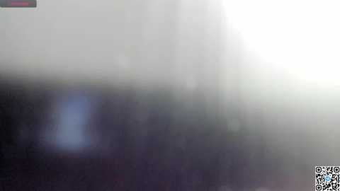fox_beauty @ chaturbate on 20250612