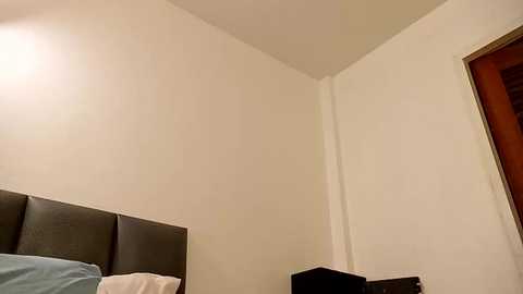 Media: 2bigcocksforu Chaturbate 2025-06-13 08:49:00