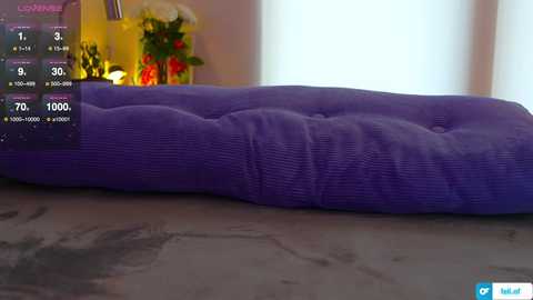 _feli_ @ chaturbate on 20250613