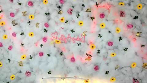 babyaylin @ chaturbate on 20250613