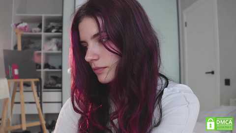 diana_alison @ chaturbate on 20250613