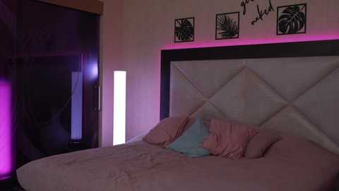dreamgogo @ chaturbate on 20250613