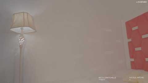 nicolle_mitchelle @ chaturbate on 20250613