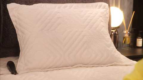rikka_moore @ chaturbate on 20250613