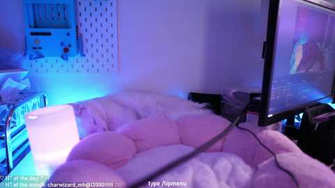 misshowl @ chaturbate on 20250614