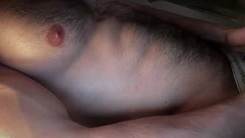 musclehair3 @ chaturbate on 20250614