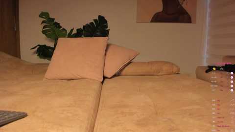 anaonasis @ chaturbate on 20250615