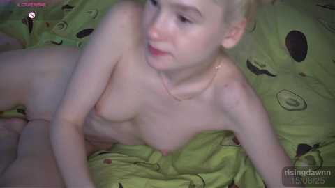 risingdawnn @ chaturbate on 20250615