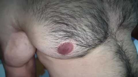 musclehair3 @ chaturbate on 20250616
